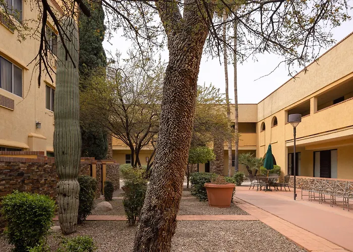 Spark By Hilton Reid Park Hotel Tucson